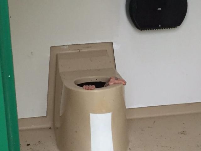 Phi thường - kỳ quặc - Chui xuống bồn cầu nhặt điện thoại, bị kẹt suốt 1 giờ