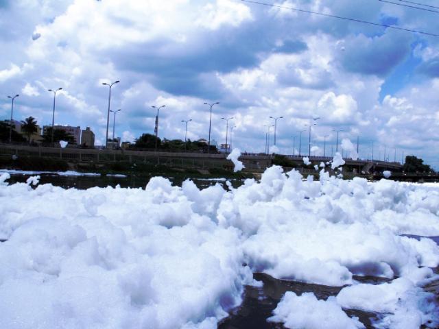 “Tuyết” xuất hiện trên kênh giữa Sài Gòn