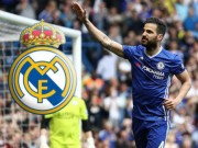 Bóng đá - Tiết lộ: Fabregas ở lại Chelsea vì bị Real chê