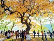 Du lịch - Những địa điểm vui chơi gần Hà Nội hấp dẫn nhất dịp 2/9