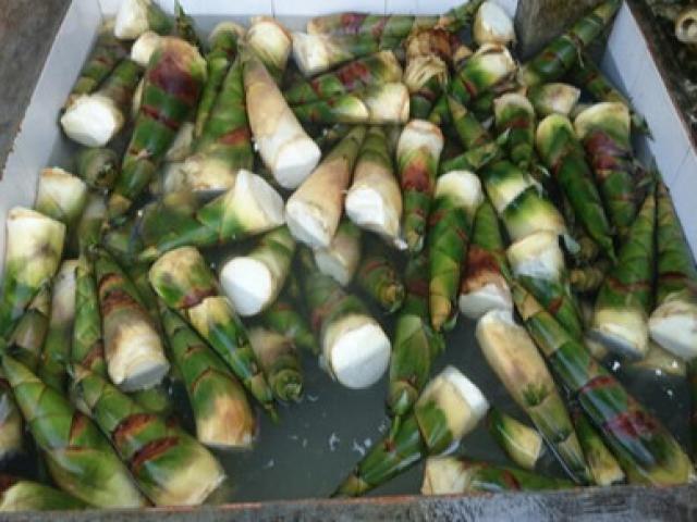 Thị trường - Tiêu dùng - Ngâm măng trong hóa chất để "phục vụ" dân TP.HCM