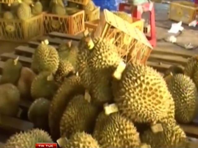 Video An ninh - Hơn 2 tấn sầu riêng &quot;tắm&quot; hóa chất đẹp mã ra lò