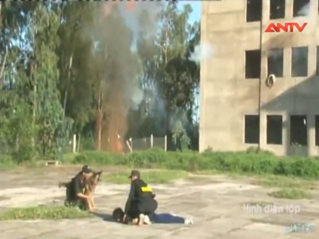 Tin tức trong ngày - Clip: CSCĐ diễn tập giải cứu cán bộ bị bắt cóc