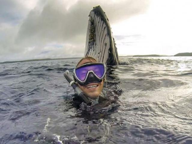 Bạn trẻ - Cuộc sống - Chàng trai gây "sốt" với bức ảnh tự sướng với cá voi