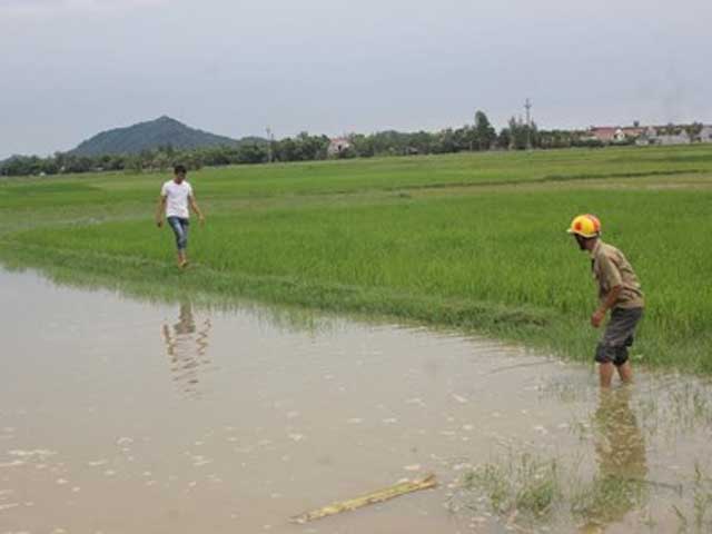 Tin tức trong ngày - Hai HS tiểu học chết đuối thương tâm sau lễ khai giảng