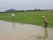 Tin tức trong ngày - Hai HS tiểu học chết đuối thương tâm sau lễ khai giảng