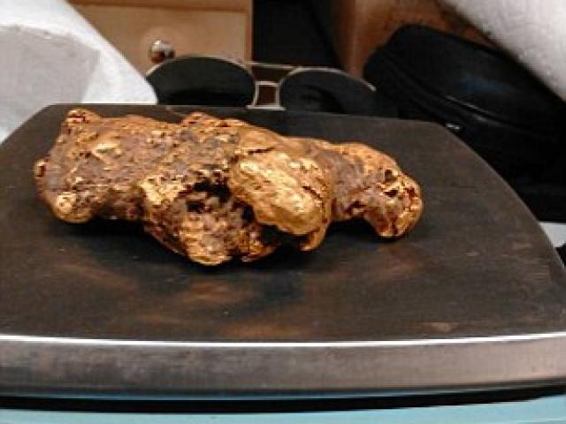 Thế giới - Mỹ: Nhặt được cục vàng nửa cân trị giá 1,5 tỷ đồng