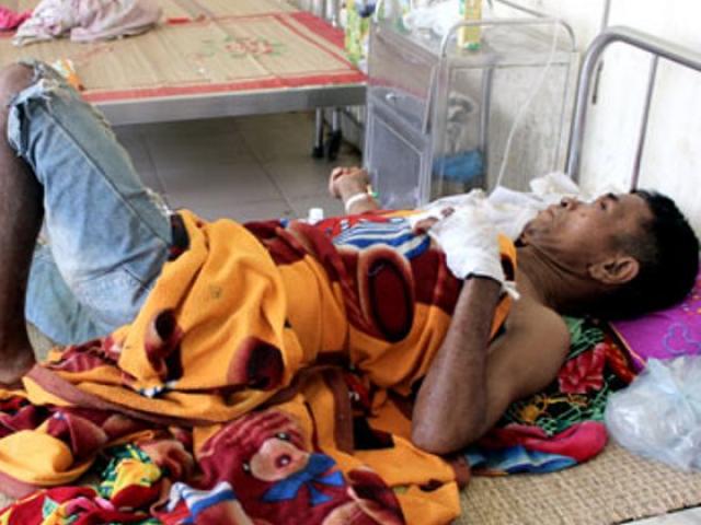 Sức khỏe đời sống - Đi tìm bò lạc, bị lợn cắn bất tỉnh