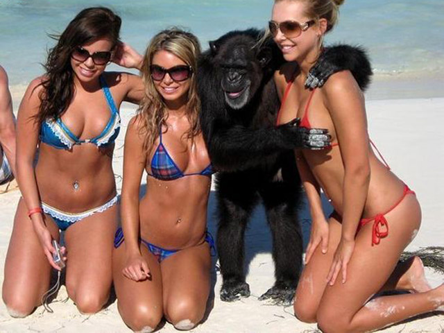 Tranh vui - Cảm xúc trái chiều của chị em khi bị "sàm sỡ"