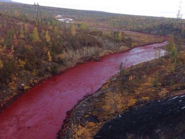 Thế giới - Dòng sông đỏ lòm như máu khiến dân Nga hoảng sợ