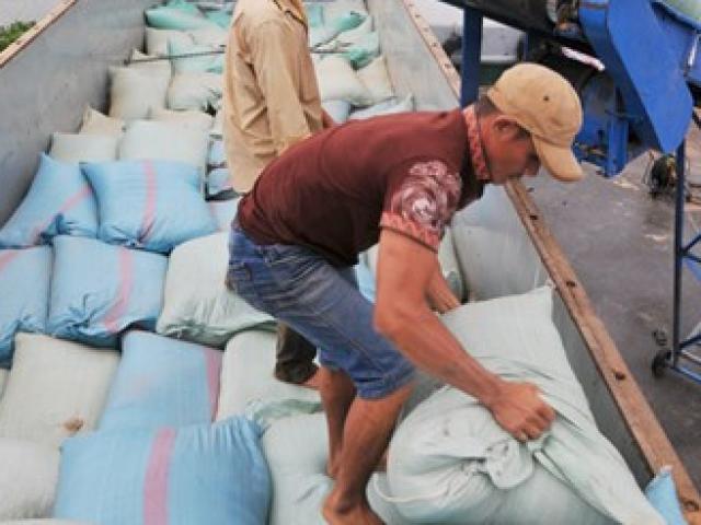 Thị trường - Tiêu dùng - Hãng tàu Hàn Quốc phá sản: Nhiều công ty Việt khốn đốn