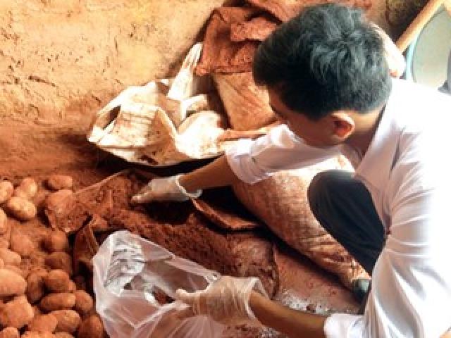 Thị trường - Tiêu dùng - Chặn nông sản Trung Quốc đội lốt Đà Lạt