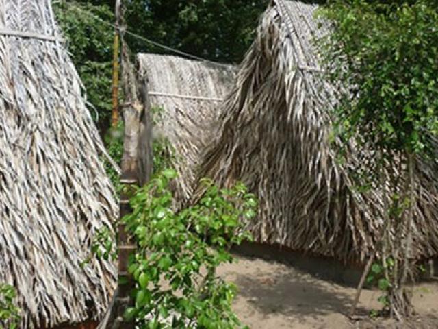 Tin tức trong ngày - Cách chức chủ tịch xã vào chòi với nữ nhân viên khỏa thân