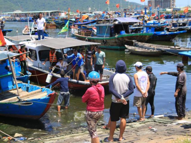 Tin tức trong ngày - Một thợ lặn đuối nước tử vong khi lặn bắt chip chip