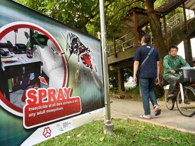Thái Lan chủ quan trước virus Zika, hàng chục ca nhiễm mới