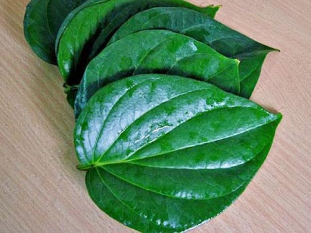 Sức khỏe đời sống - Hãy dùng lá này súc miệng, bỏ qua nước hoá chất đang quảng cáo rầm rộ