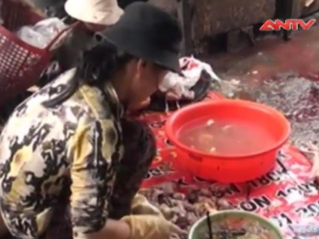 Video An ninh - Loạn lò giết mổ gia cầm: Chính quyền "ưu ái"?