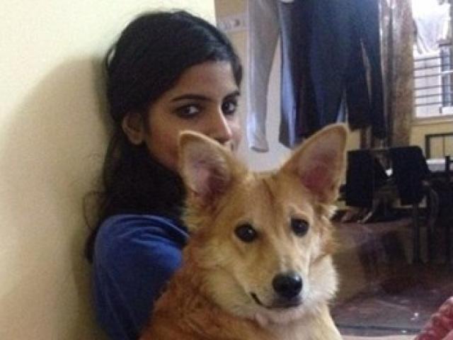 Cô gái từ chối lời cầu hôn vì không được nuôi chó
