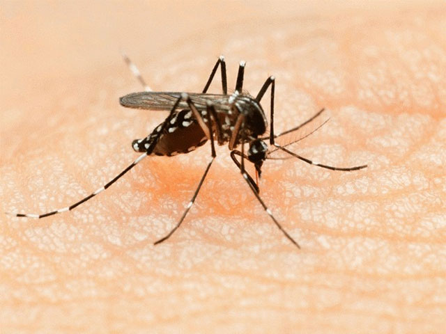 Bộ Y tế thông tin lại ca nhiễm Zika khi du lịch Nhật Bản