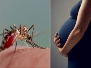 Tin tức trong ngày - Thêm bệnh nhân mắc Zika sau khi trở về từ Việt Nam