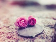 Thơ tình: Tháng 9 về