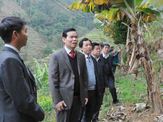 Tin tức trong ngày - Cả nhà Bí thư Tỉnh ủy Hà Giang làm quan