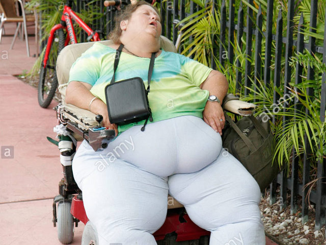 Tranh vui - Hài hước với hình ảnh "ngã đâu cũng là giường"