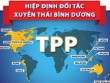 Việt Nam dũng cảm khi tham gia TPP?