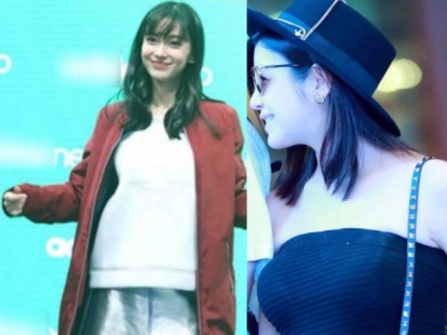 Phim - "Tiểu Long Nữ" và vợ Huỳnh Hiểu Minh: Ai bầu đẹp hơn?