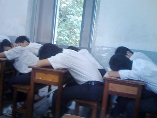 Giáo dục - du học - Ngoại ngữ: Người học phải được lựa chọn!