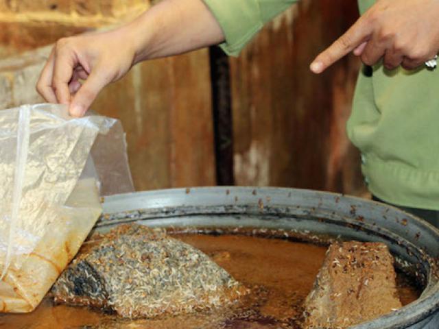 Thị trường - Tiêu dùng - Hãi hùng với 5.000 kg mắm cá tra có dòi bò lúc nhúc