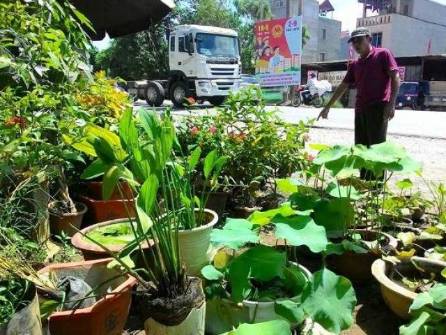 Tin tức trong ngày - Vụ xe chở tôn tông chết người: Xe đi mượn, tôn chở hộ