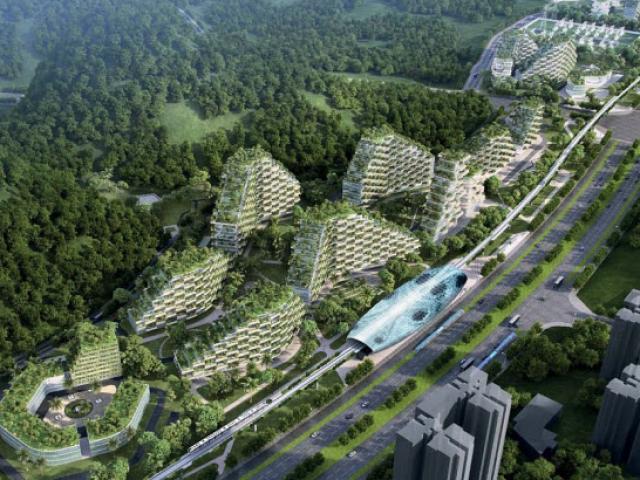 Thế giới - Ngắm "thành phố rừng" đầu tiên thế giới xây ở TQ