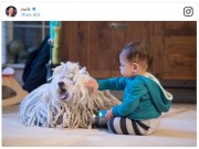 Công nghệ thông tin - Những chú chó quyền lực nhất giới công nghệ