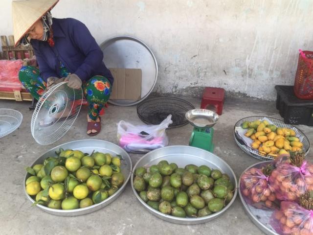 Thị trường - Tiêu dùng - Xoài tí hon Trung Quốc tràn vào Việt Nam