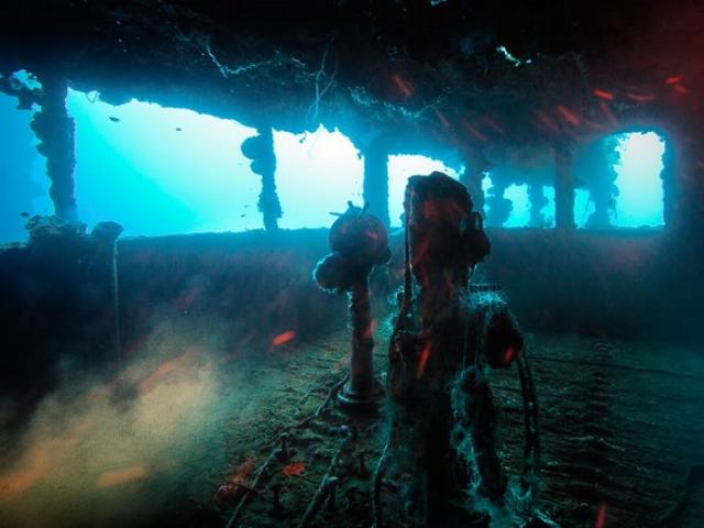 Thế giới - Hạm đội tàu chiến "ma" của Nhật Bản dưới Thái Bình Dương