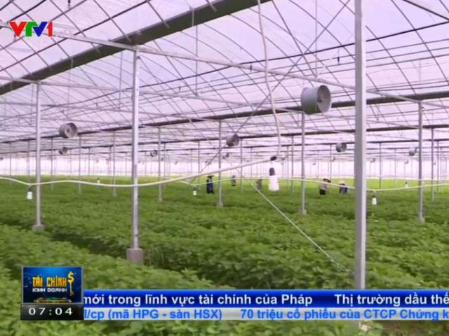 Thị trường - Tiêu dùng - Bắt tín hiệu thị trường - Tiêu chí quan trọng với sản xuất nông nghiệp