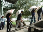 Giáo dục - du học - Thủ khoa thành Nam bốc vác kiếm tiền nhập học