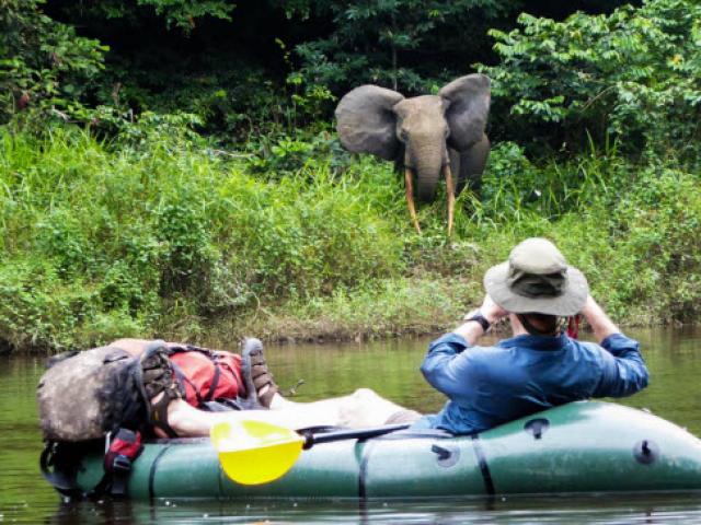 Du lịch - Những tour khám phá động vật hoang dã hấp dẫn nhất thế giới