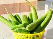 Sức khỏe đời sống - Công dụng chữa bệnh tuyệt vời của quả mướp