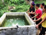 Tin tức trong ngày - Chết lặng thấy 2 con nhỏ chết đuối trong bể nước gia đình