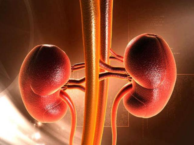 Sức khỏe đời sống - Đừng nghĩ chất béo chỉ gây tăng cân, nó có nhiều lợi ích đáng ngạc nhiên cho cơ thể