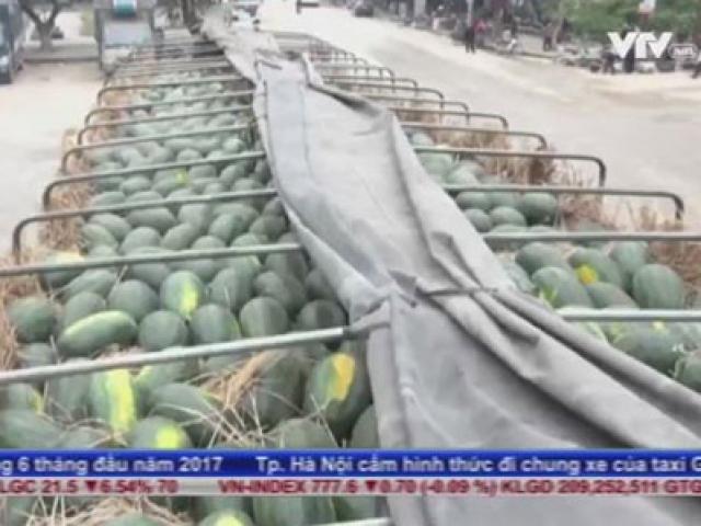 Thị trường - Tiêu dùng - Lập công ty “ma” nhập khẩu nông sản trốn thuế GTGT