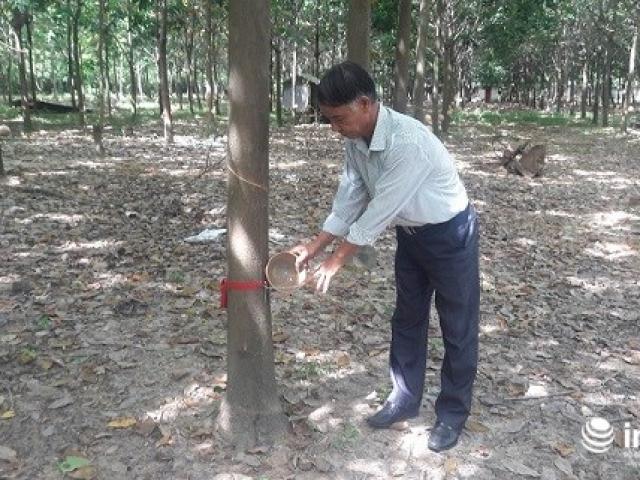 Tài chính - Bất động sản - Người thương binh nặng trở thành tỉ phú trên vùng đất nhiễm bom mìn