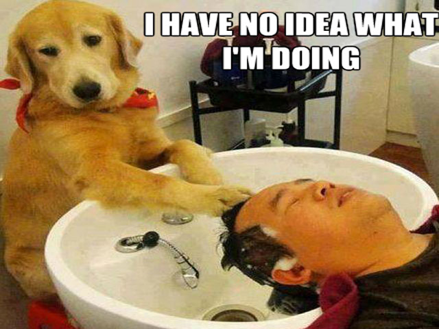 Truyện cười - Khi "người rất tốt" làm nghề cắt tóc gội đầu