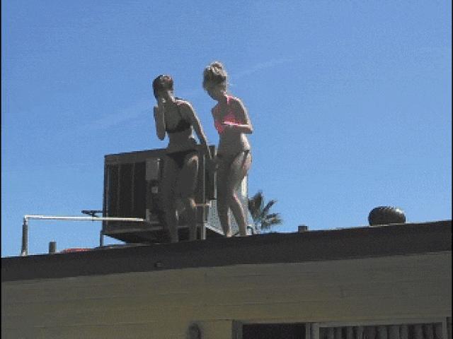 Tranh vui - Ảnh động: Anh ấy đã thể hiện độ "ngu người'