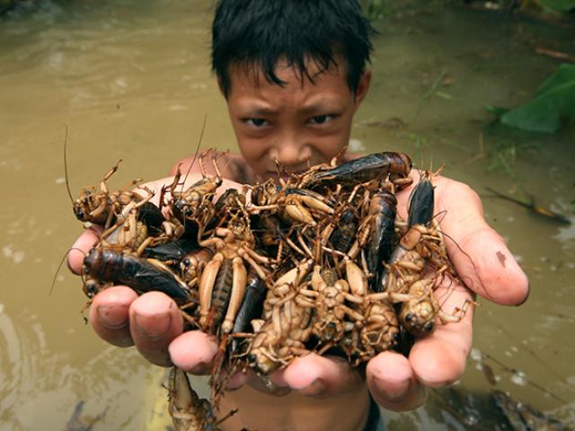 Tin tức trong ngày - Săn đặc sản trên "ốc đảo" giữa lòng Hà Nội những ngày nước lên