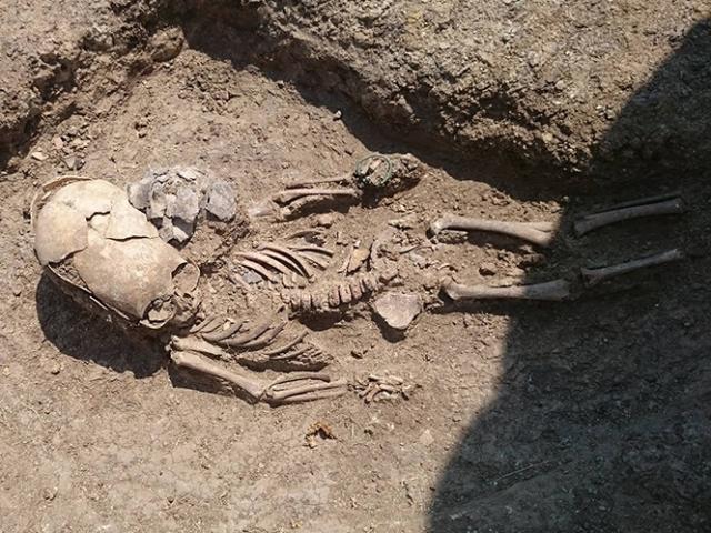 Phi thường - kỳ quặc - Phát hiện hài cốt em bé “ngoài hành tinh” ở Nga