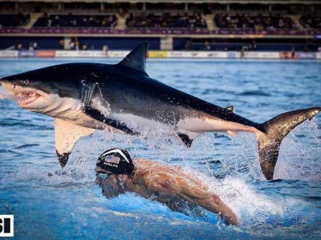 Phelps đua cá mập là trò hề, xem “Ma tốc độ” mới hấp dẫn