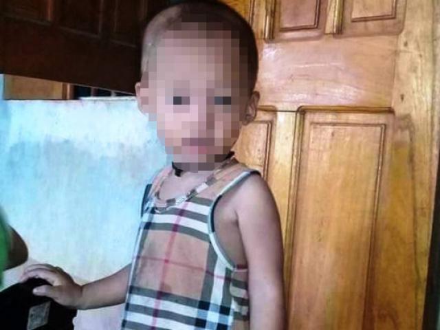 Tin tức trong ngày - Mẹ vào bếp 2 phút, con trai 20 tháng tuổi đã mất tích bí ẩn